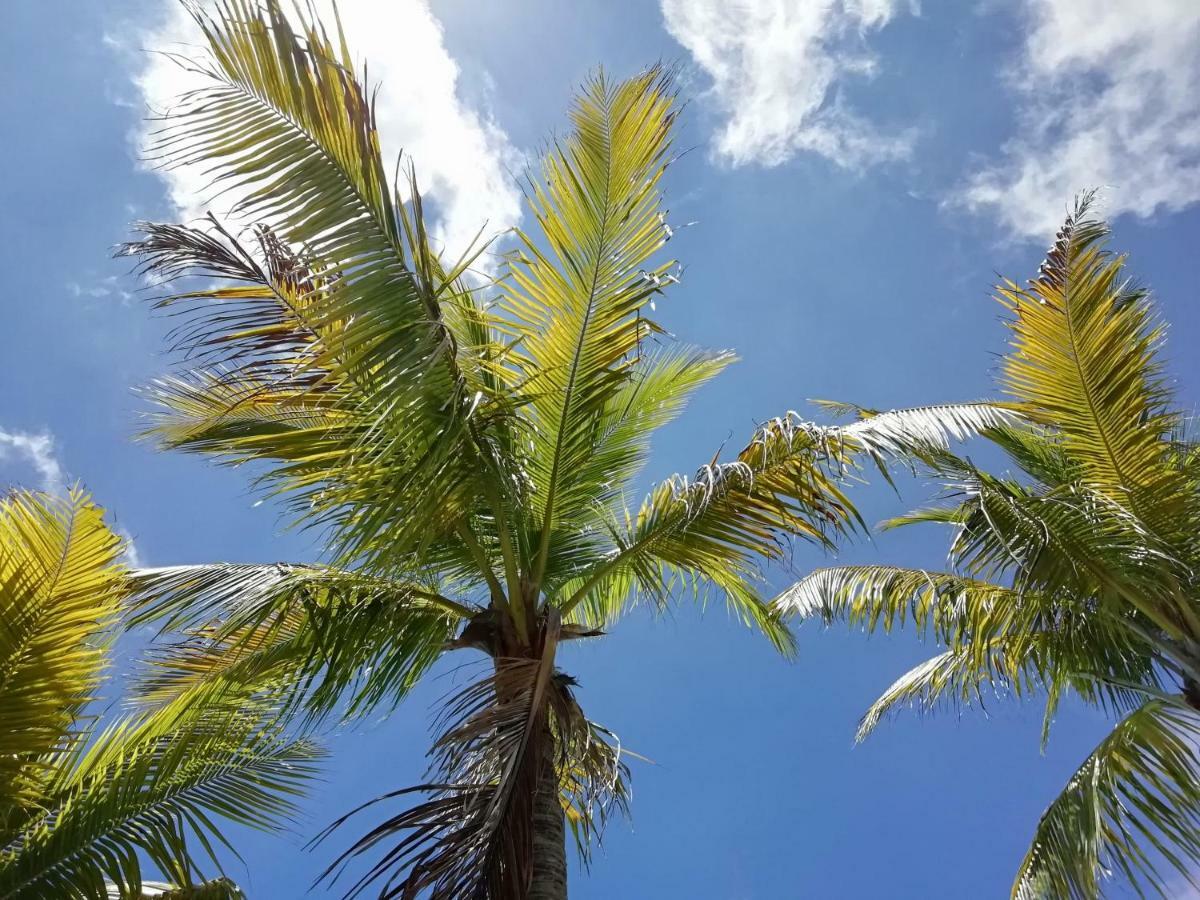 Hotel Green 16 Cancun Ngoại thất bức ảnh